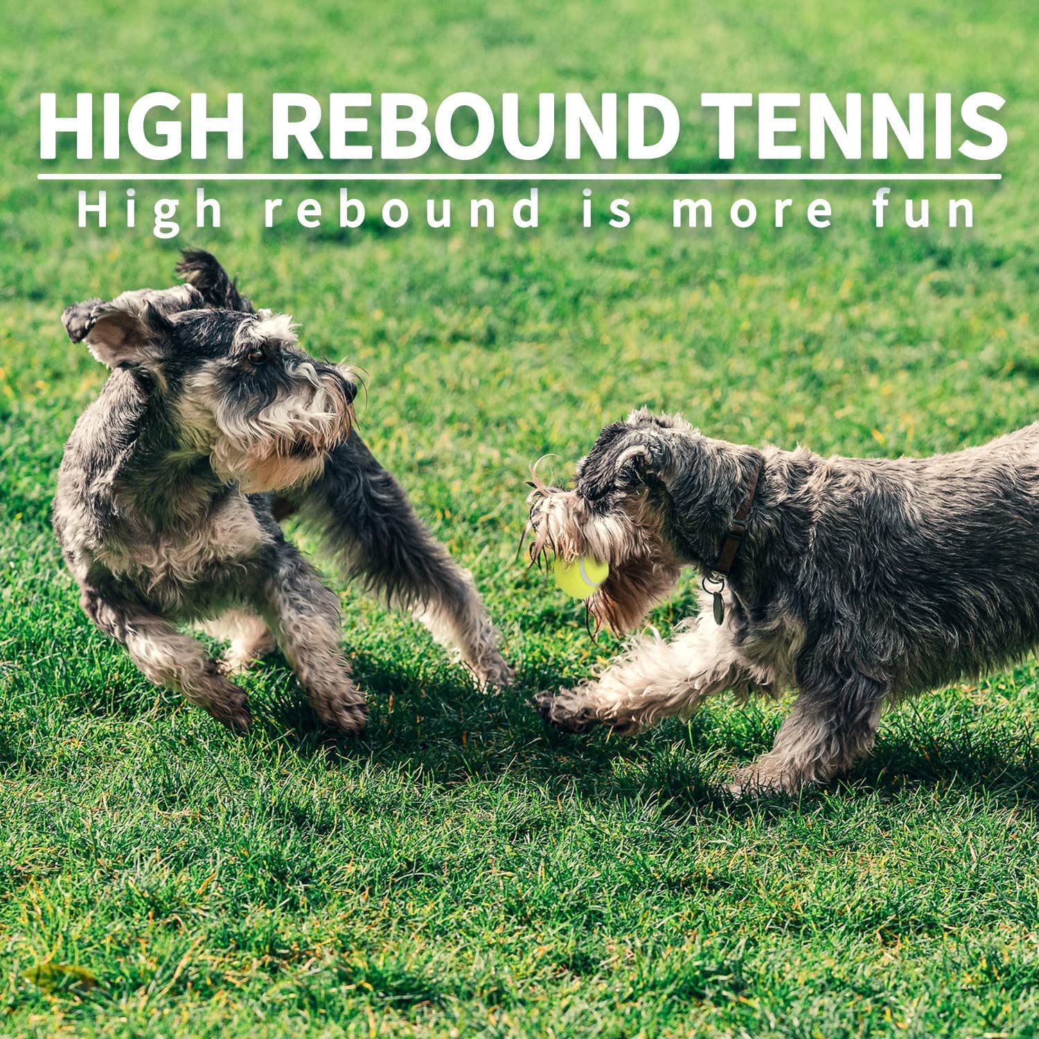 ALL FOR PAWS outdoor fetch toy tennis ball for parks and yards.