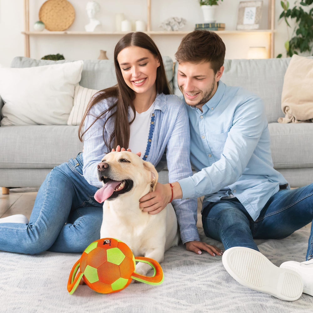 ALL FOR PAWS ball demonstrates size and grip for medium and large breeds.
