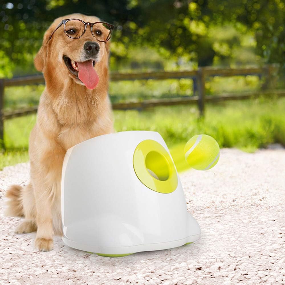ALL FOR PAWS training toy bounce ball maintains consistent bounce