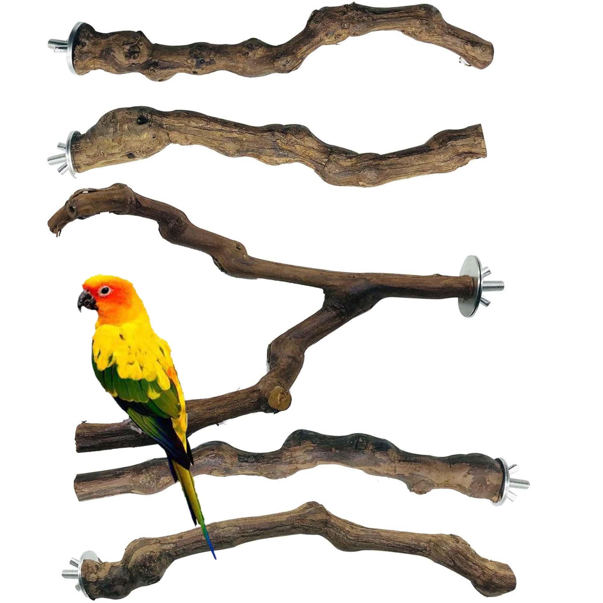 Allazone bifurcation grape-stick perch with natural grooves for secure grip.