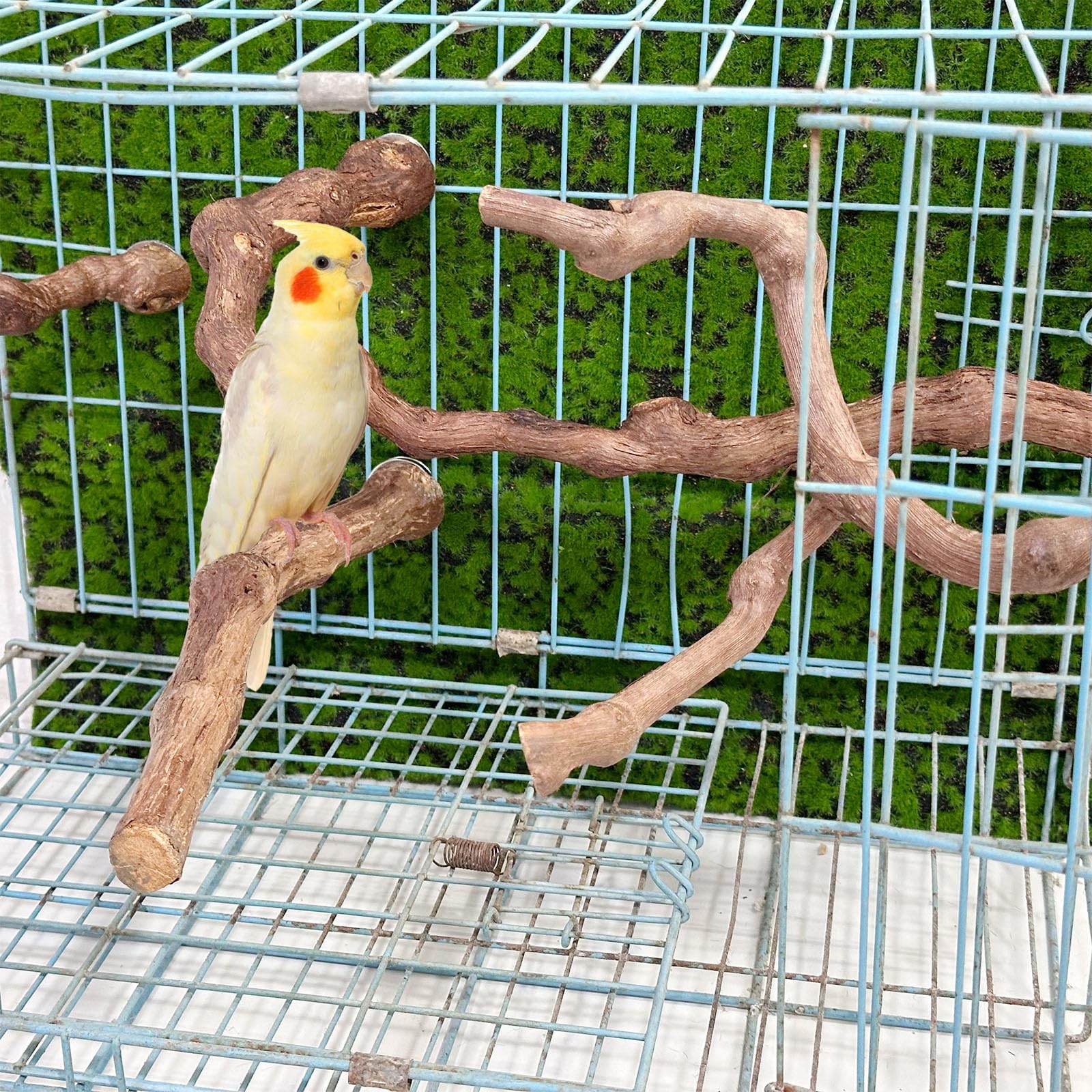 Allazone elevated bird perch creates higher play space for exploration.