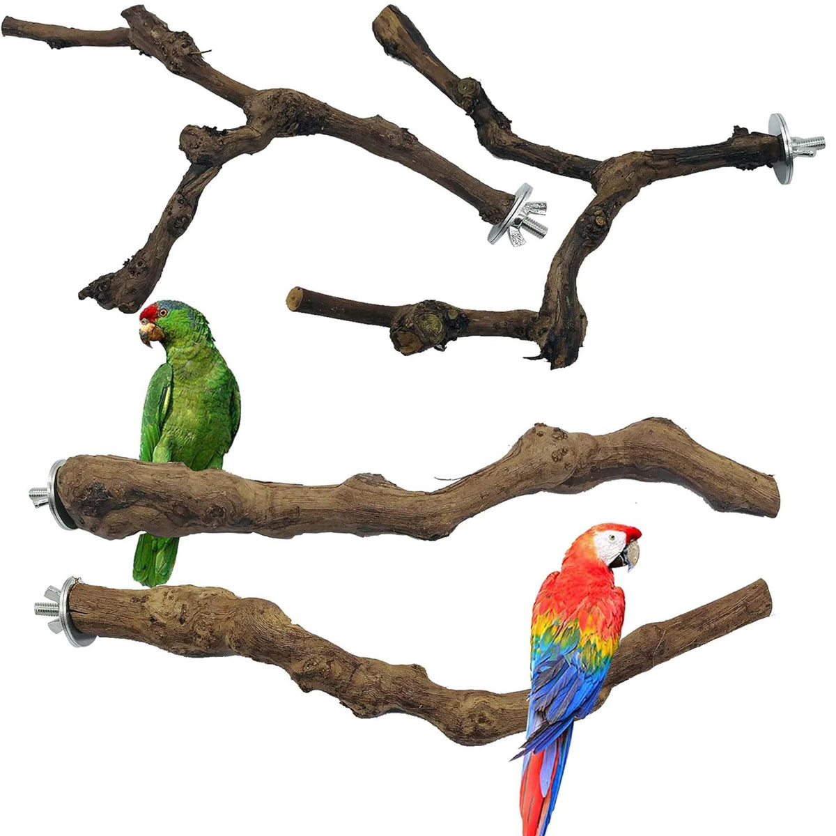 Allazone grapevine perch bifurcation for parrot foot exercise and grip variety.