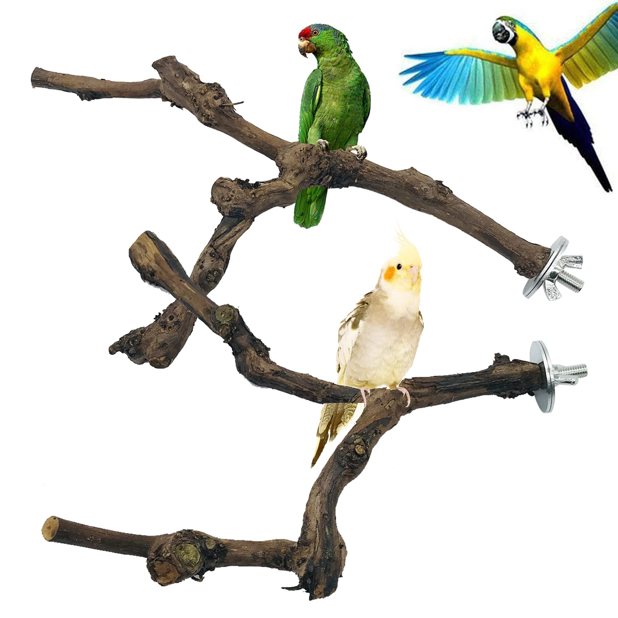 Allazone grapevine perch no-branch design supports natural climbing and chewing.