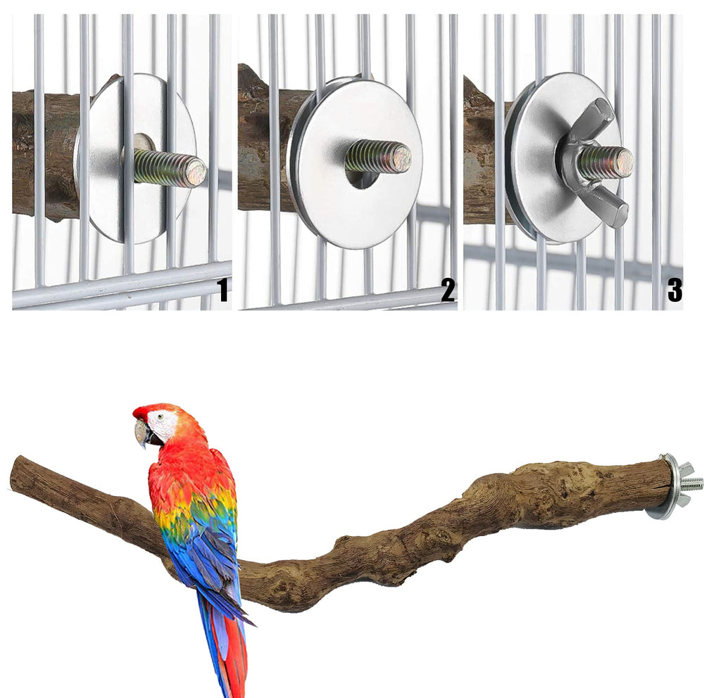 Allazone natural material adds variety to cage habitat.