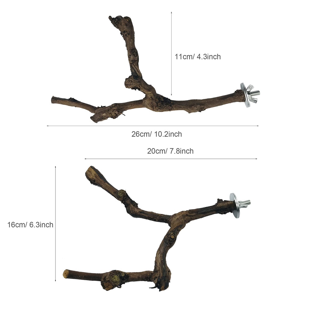 Allazone multi-function toy offering swing, chew, and climb opportunities.