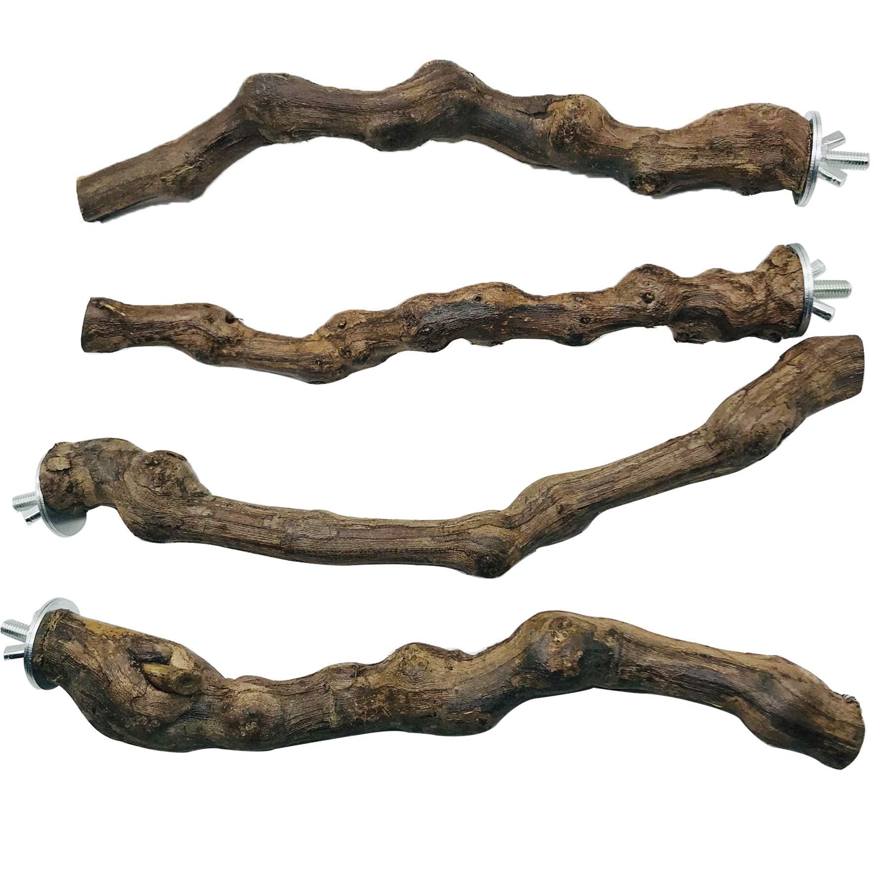 Allazone swing-chew perch-toy combines chewing and climbing for birds.