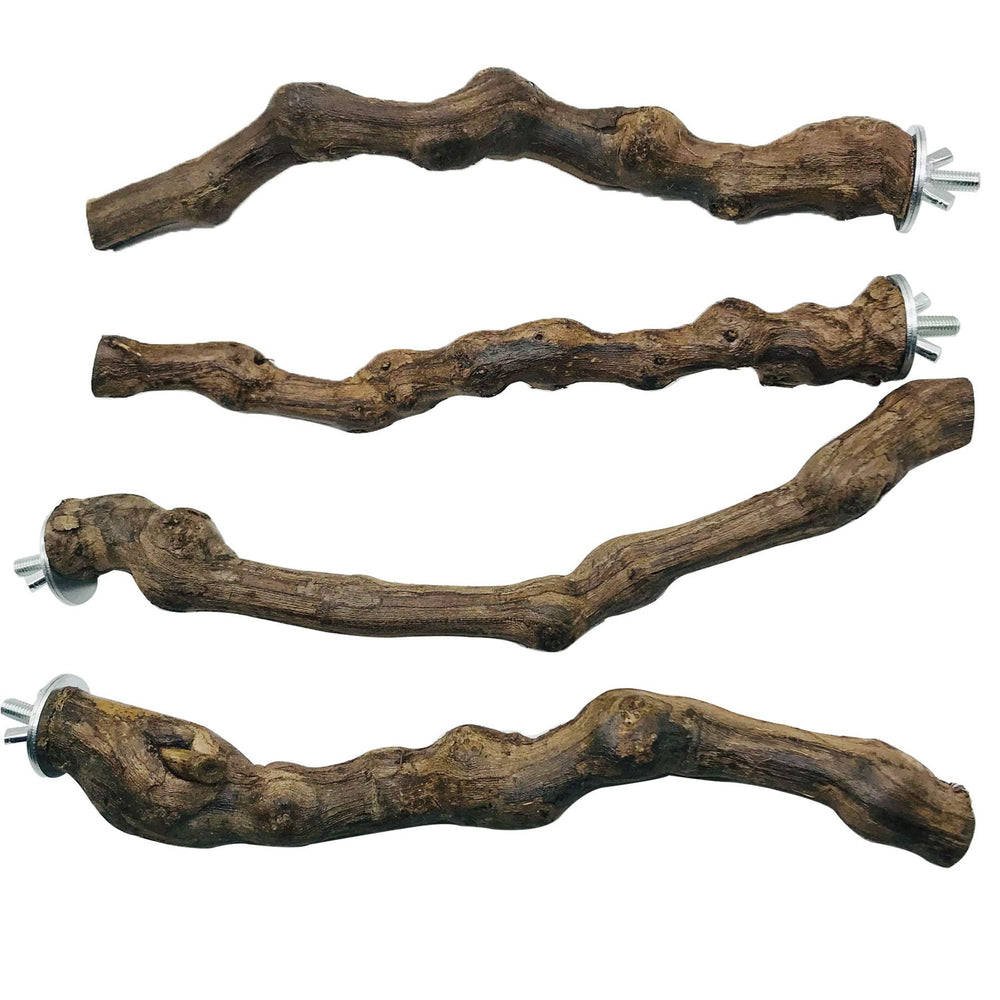 Allazone swing-chew perch-toy combines chewing and climbing for birds.
