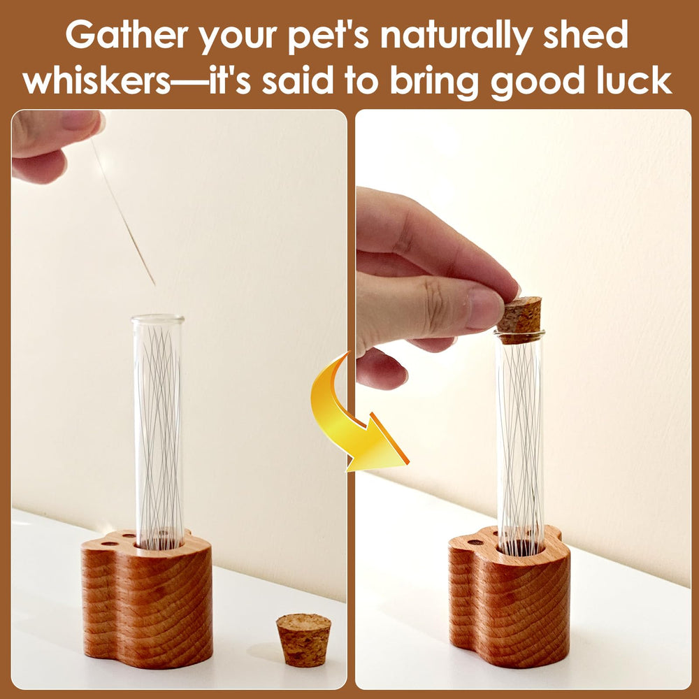 Allenkwok Cat Whisker Jar beech wood base provides stable support
