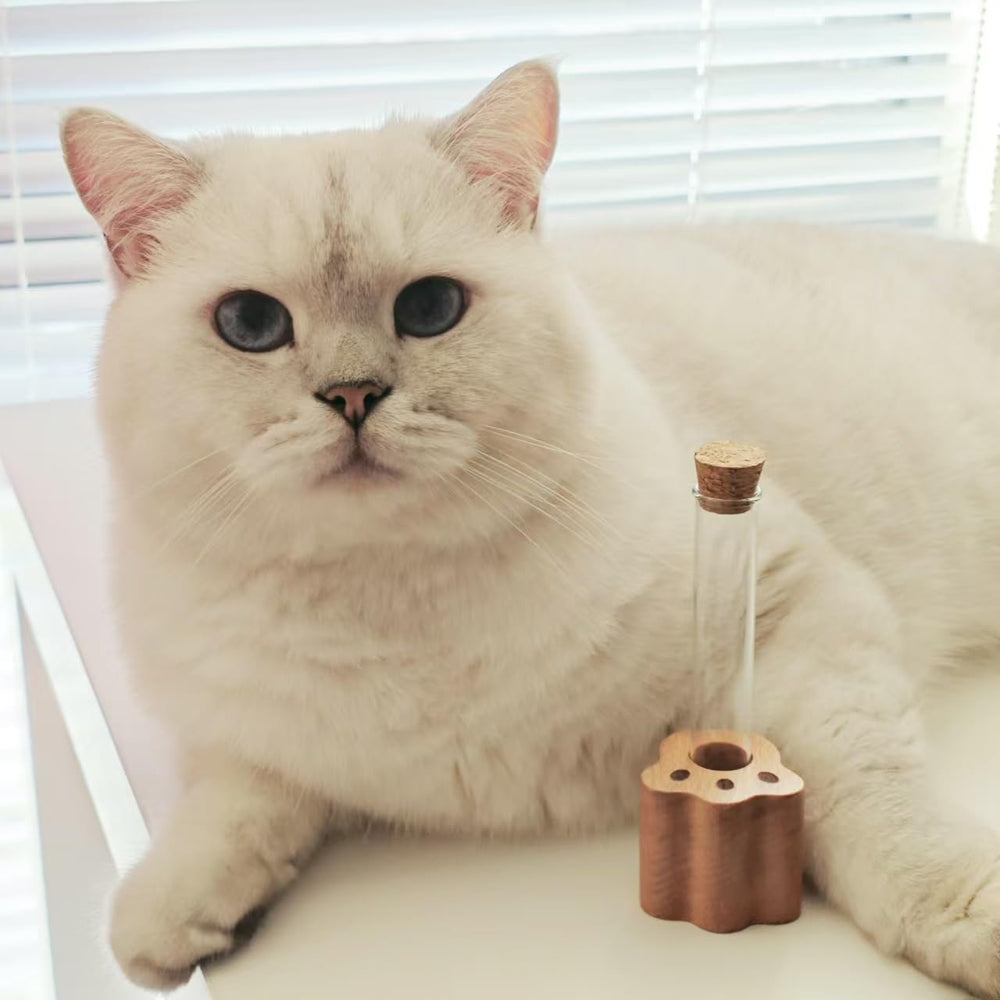 Allenkwok Cat Whisker Jar gift-ready packaging for pet lovers