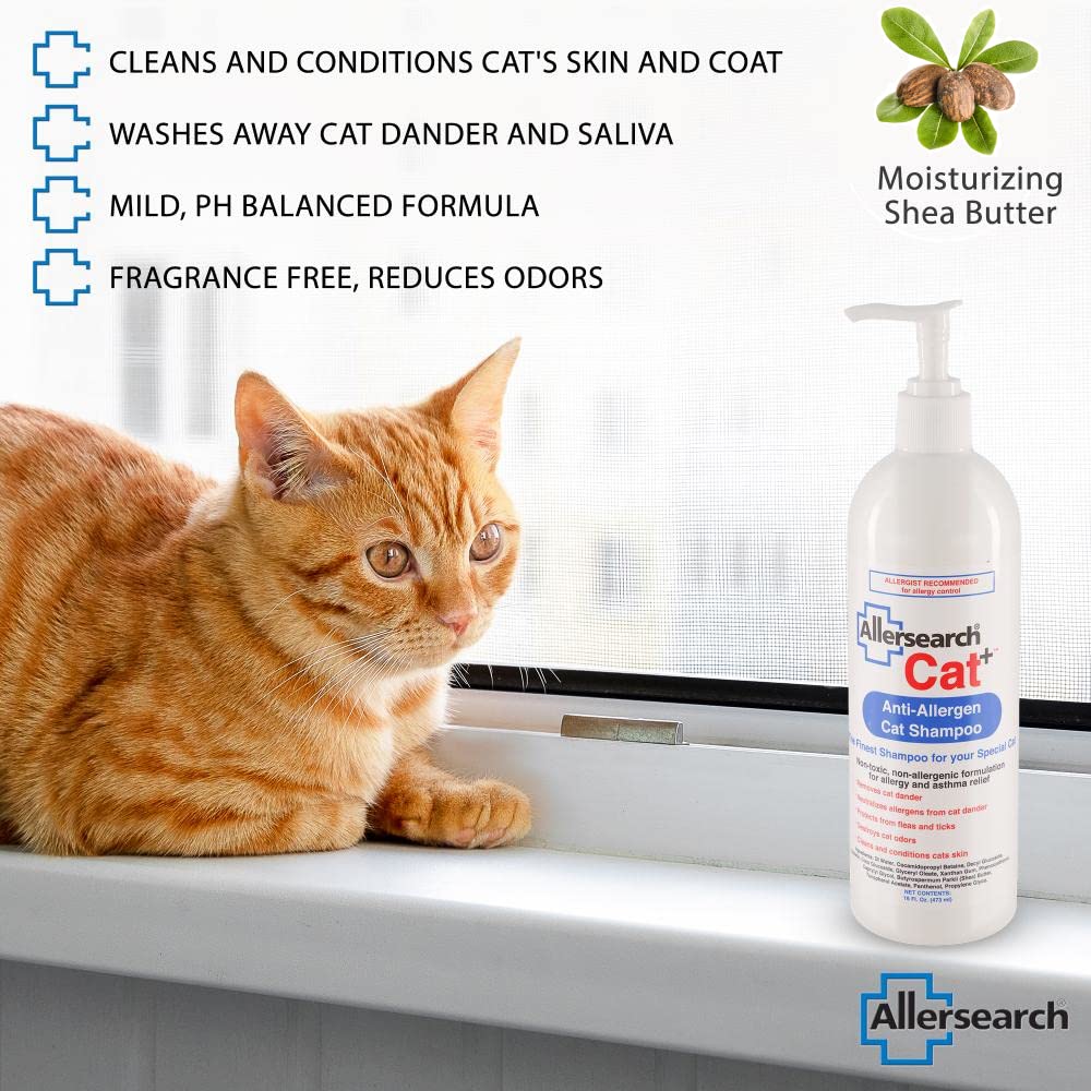 Allersearch Cat+ Anti-Allergen Shampoo after-bath coat looks clean and conditioned.
