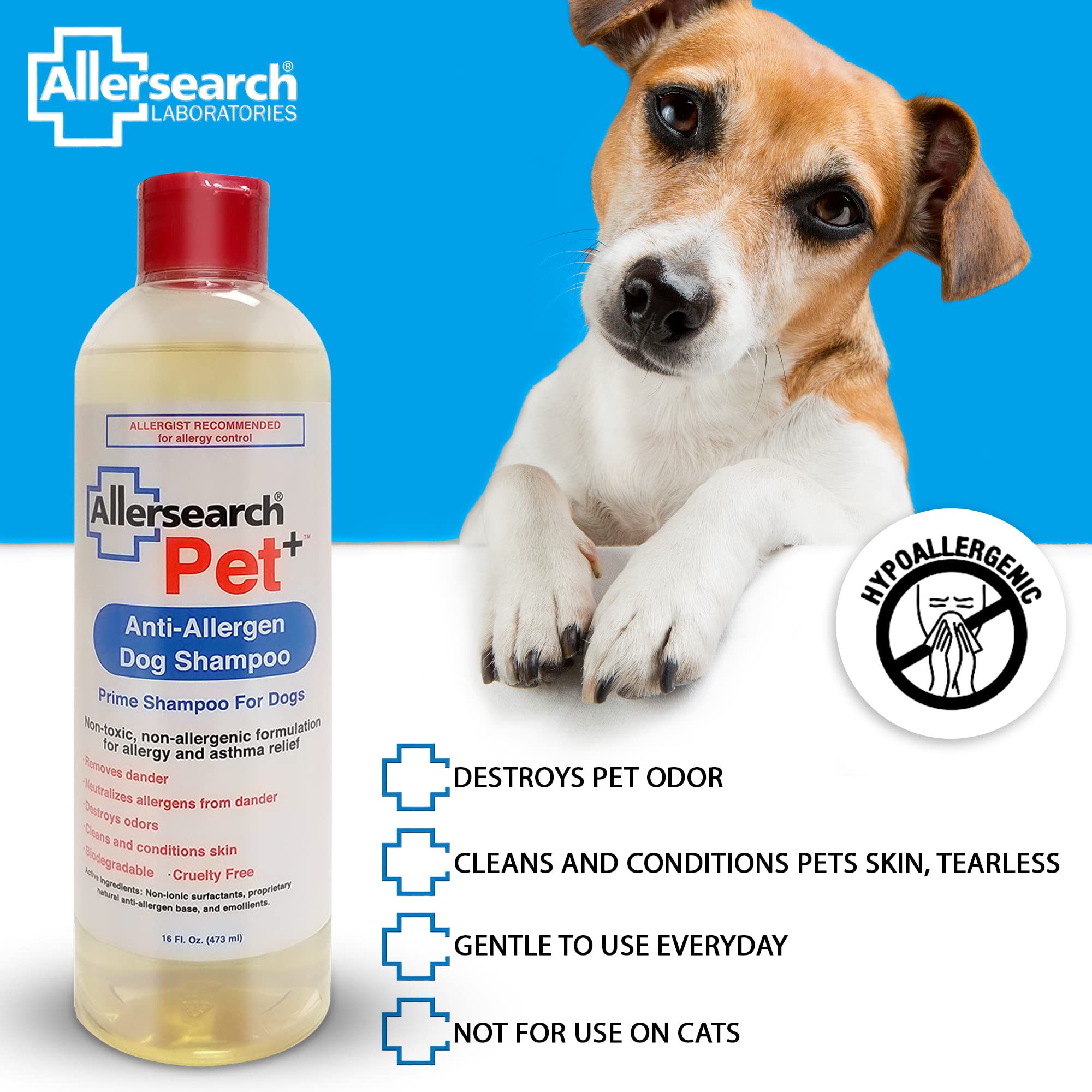 Coat after Allersearch Pet+ Shampoo is clean and refreshed.