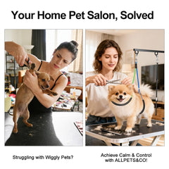 AllPets&Co adjustable height (27-40 inches) for ergonomic home grooming sessions.