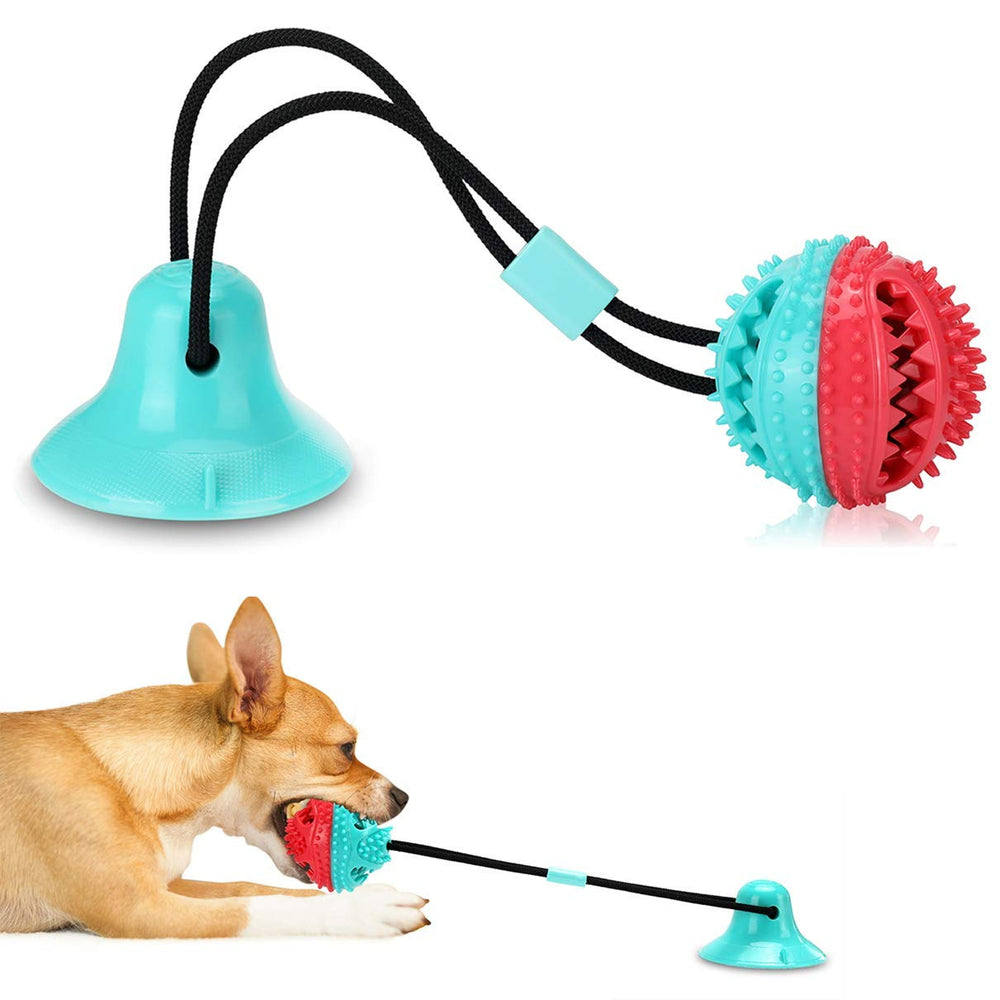 ALLRIER interactive dog toy ball showing puzzle play and mental engagement for small and medium dogs