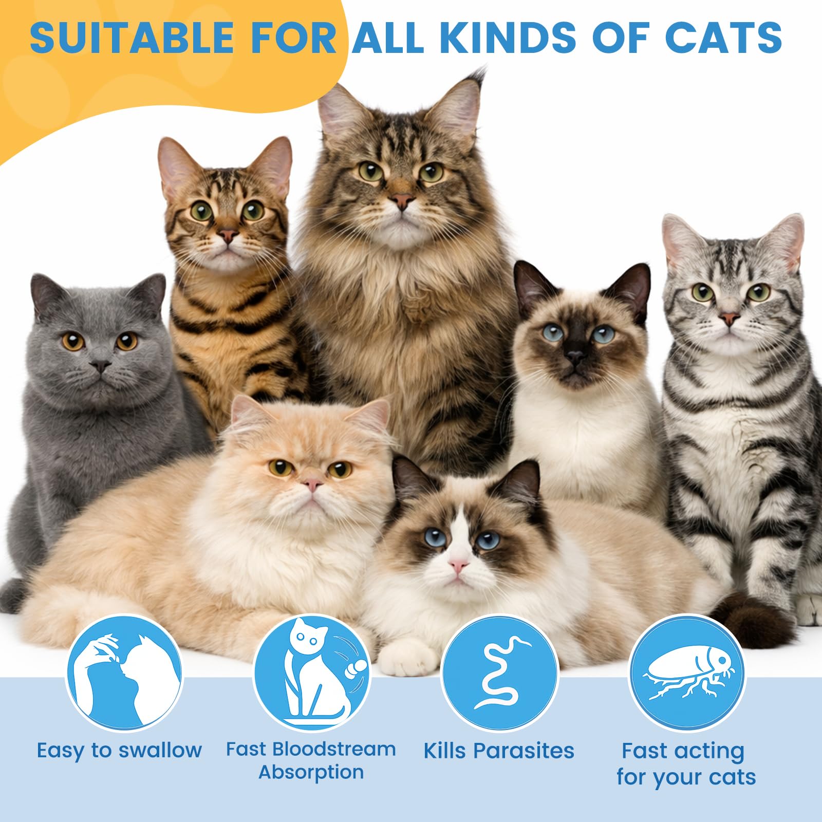 Kitten-friendly size and easy mixing with food