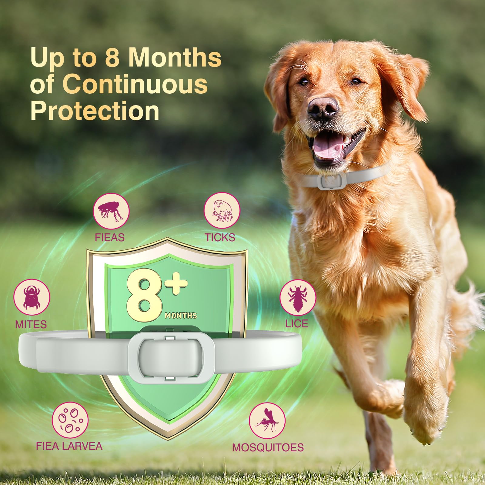 Allyeah adjustable dog collar fits small, medium, and large breeds comfortably
