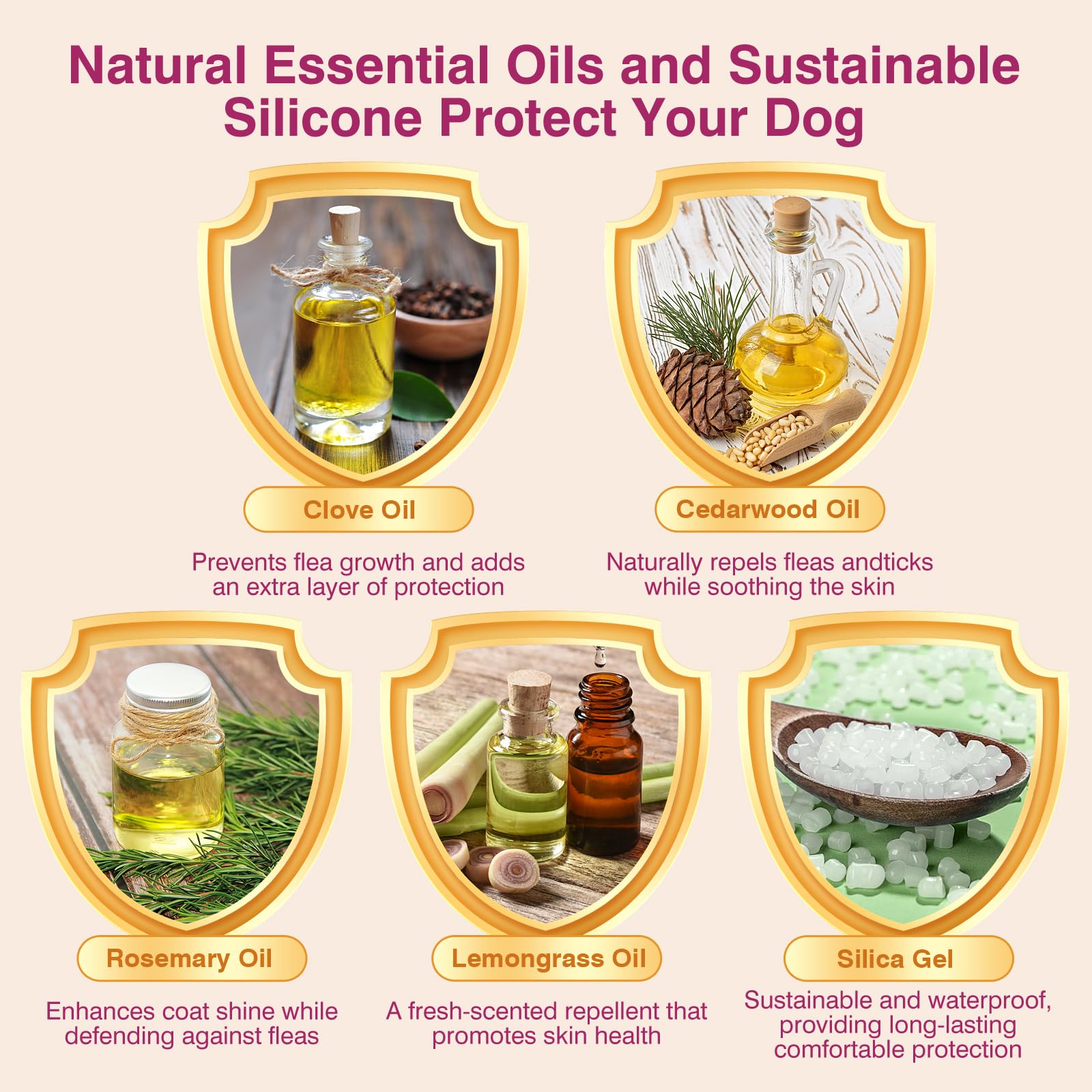Allyeah collar adjustable fit demonstrating snug, comfortable wear for dogs of all sizes.