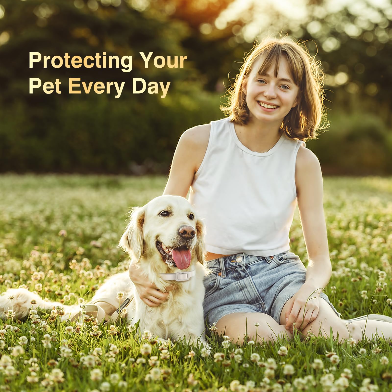 Allyeah collar on a senior dog demonstrates reliable, non-irritating protection.