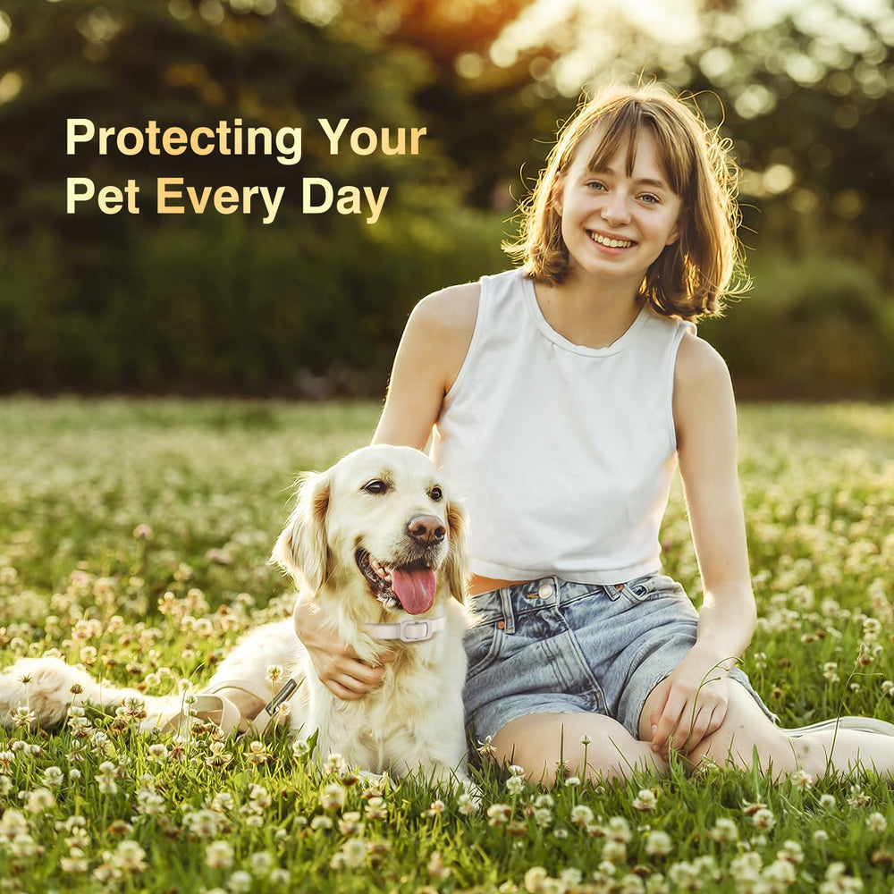 Allyeah collar on a senior dog demonstrates reliable, non-irritating protection.