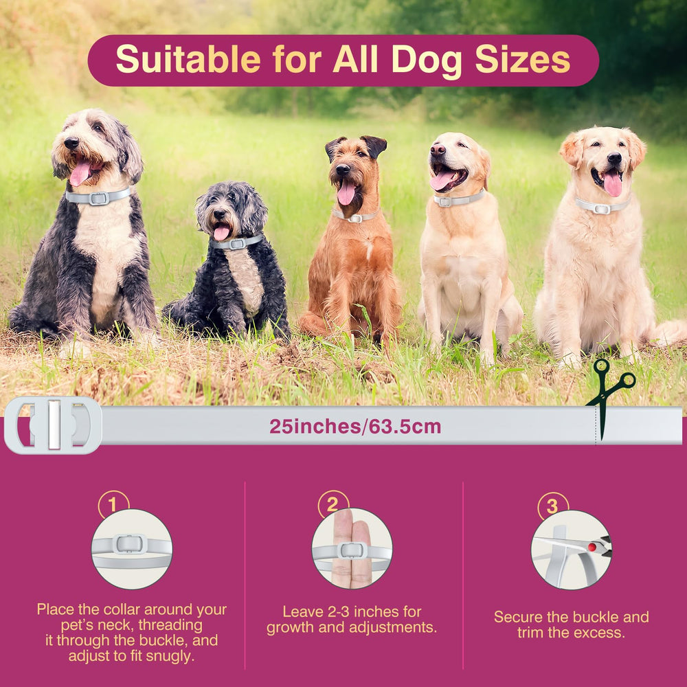 Allyeah collar on a puppy shows safe, gentle scent for young dogs.