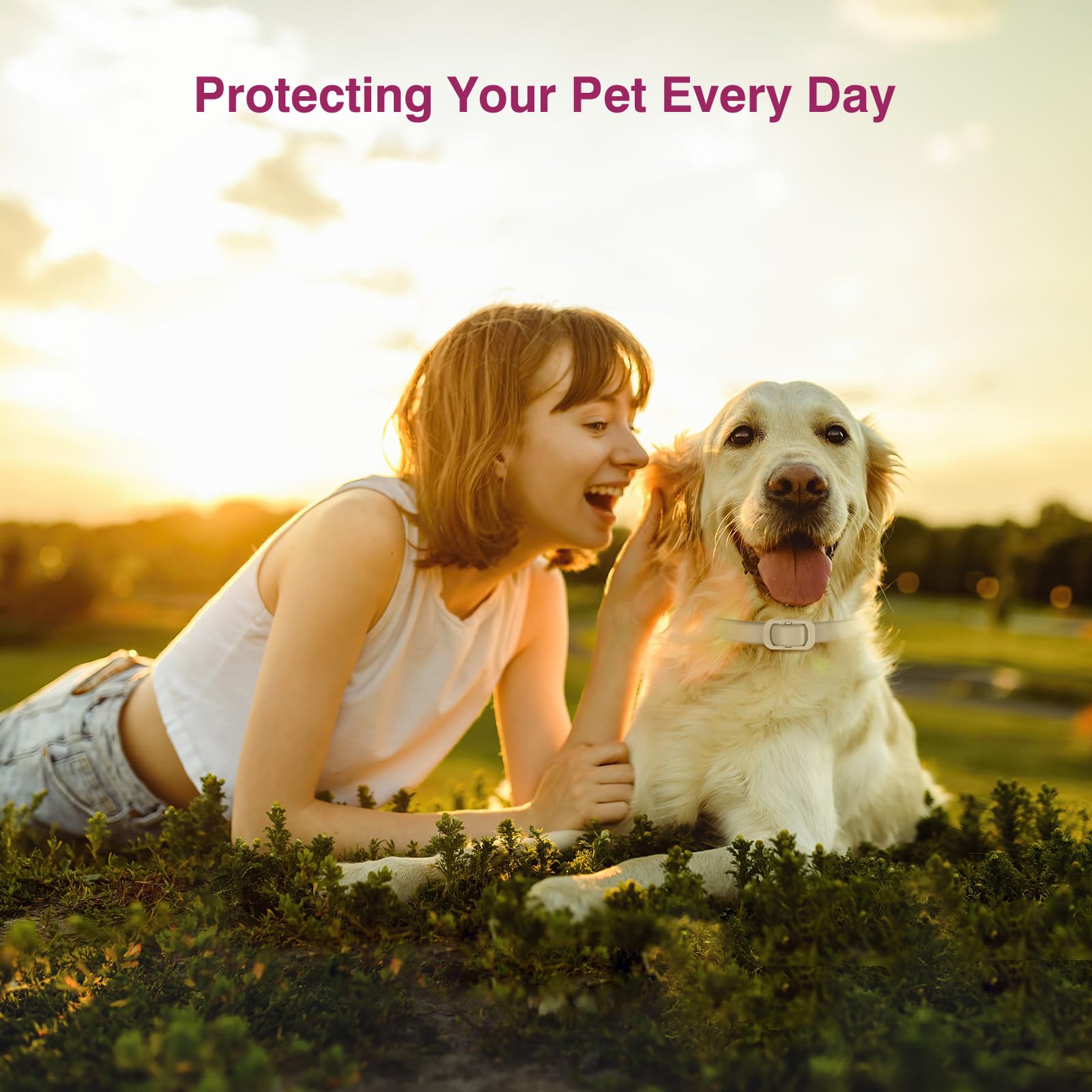 Allyeah collar ideal for outdoor walks and adventures with dogs