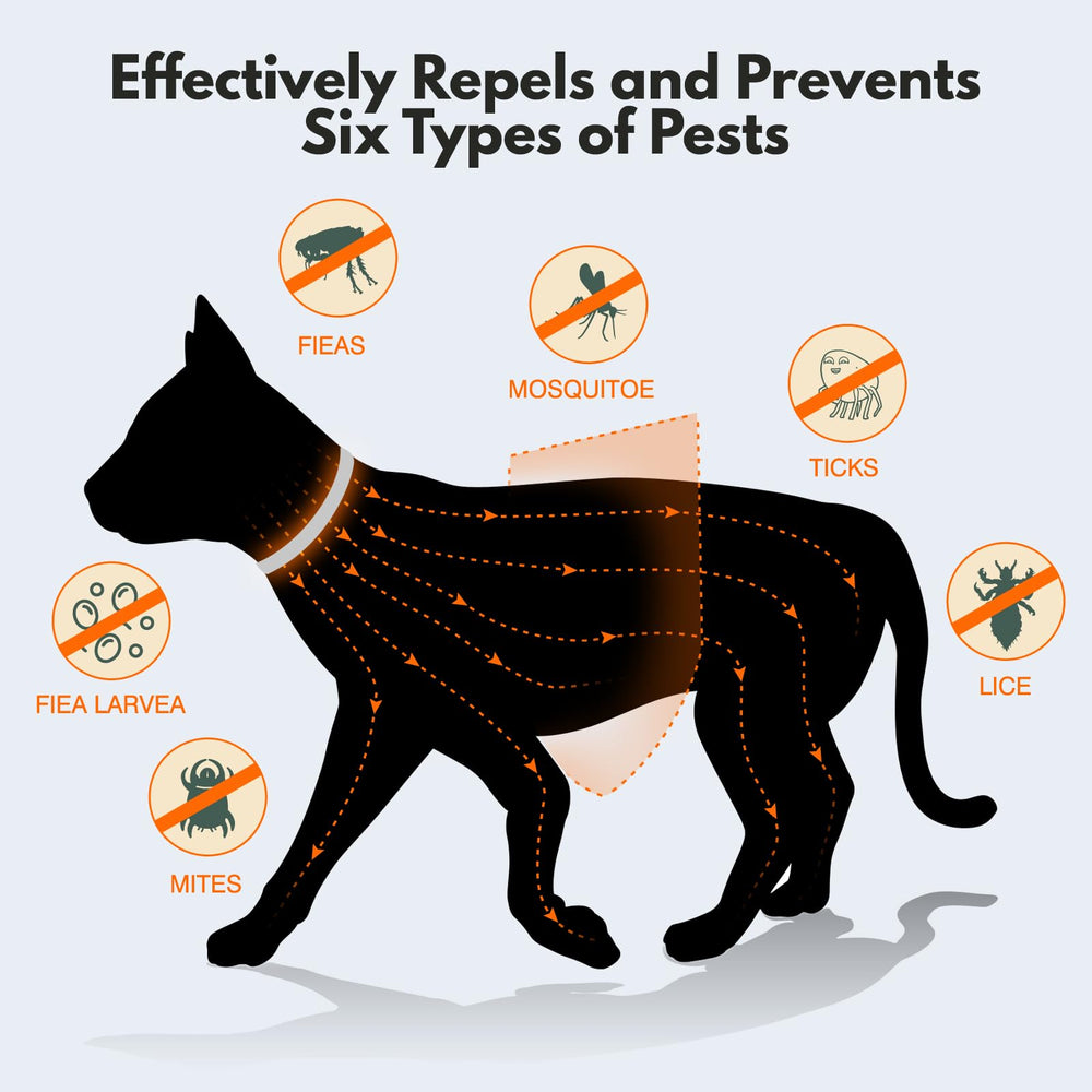Pack of 4 Allyeah collars emphasizes value and ongoing preventive use.