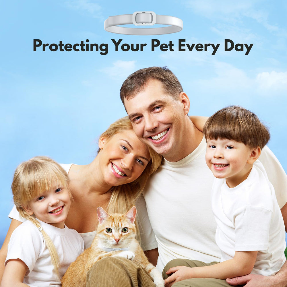 Allyeah collar safe for cats 3 months and older.