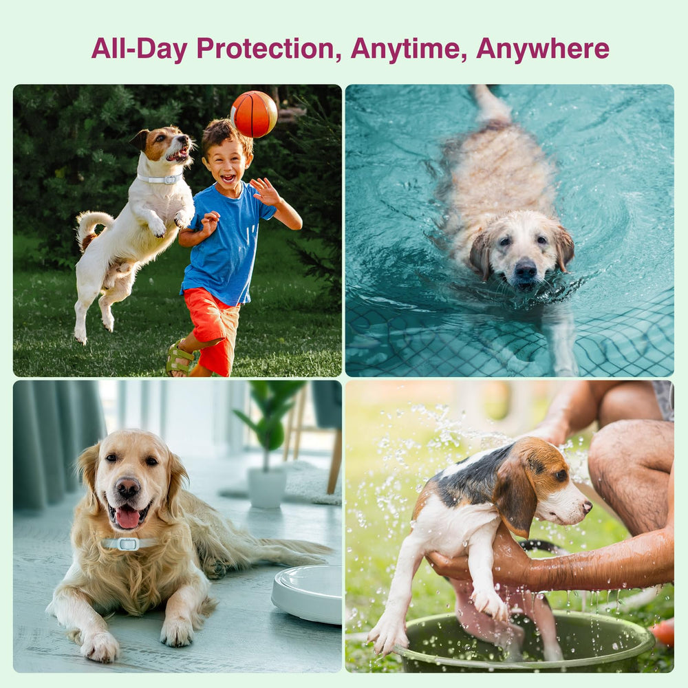 Allyeah safe for puppies 3 months and older with a gentle natural formula