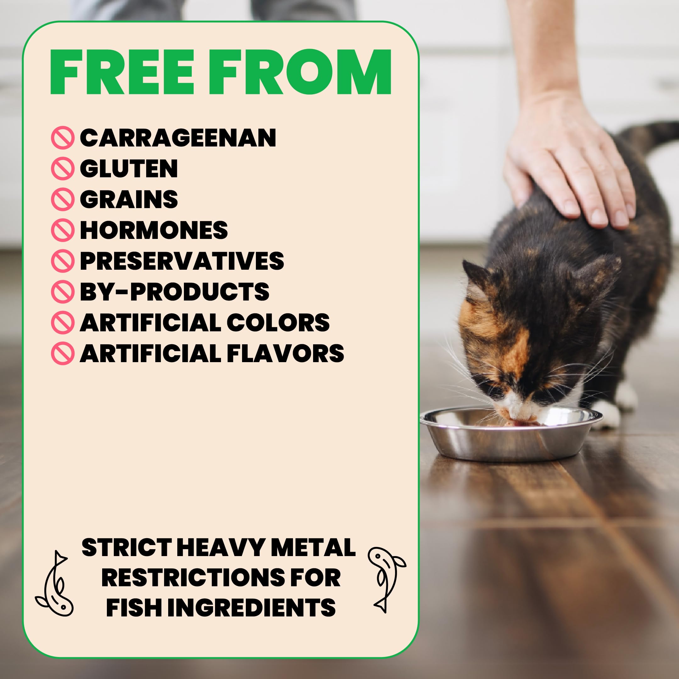 Almo Nature HQS Natural Cat Pack Trout Tuna can, easily digestible protein for daily meals