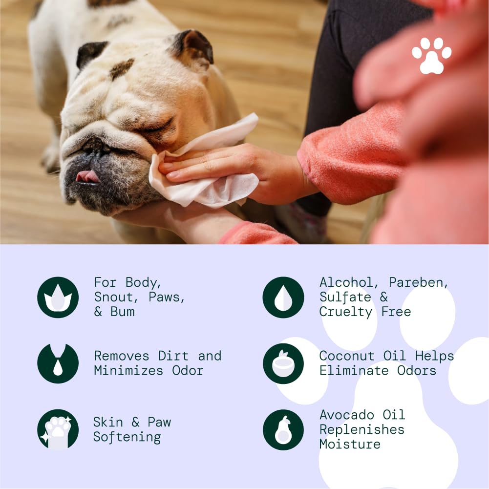ALŌH wipes used to clean paws after outdoor adventures.
