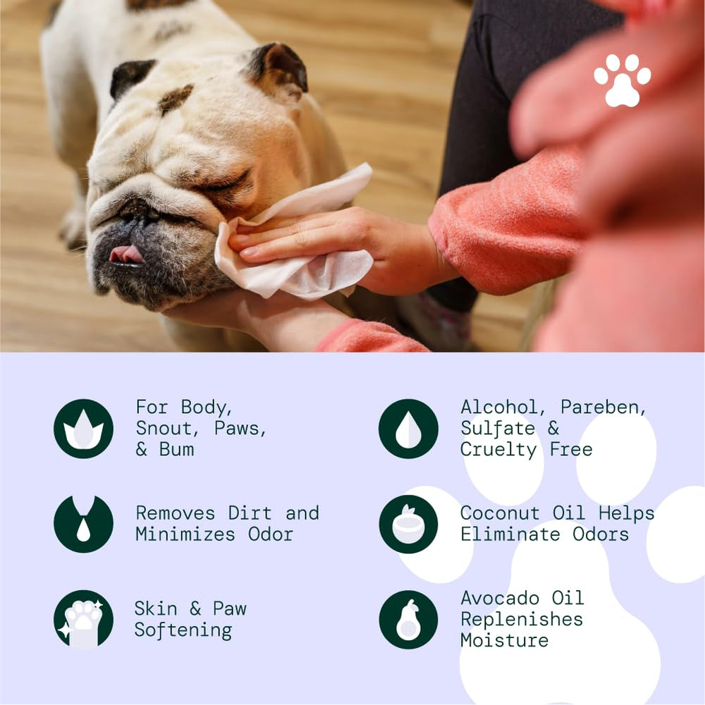 ALŌH wipes used to clean paws after outdoor adventures.