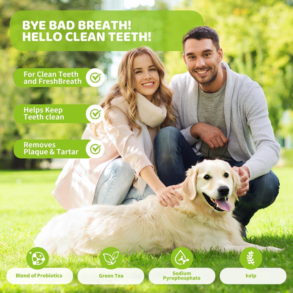 Aloevia powder featuring brown algae highlights natural dental care ingredients.