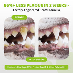 Aloevia dog teeth cleaning powder with green tea ingredients for refreshed breath when added to food.