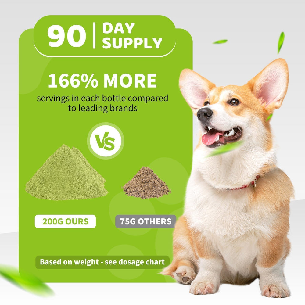 Aloevia powder being sprinkled onto dog food for effortless oral hygiene.