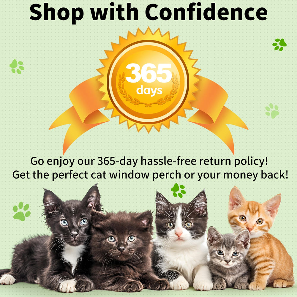 Aloxina cat window perch curtain-friendly design beside drapes.