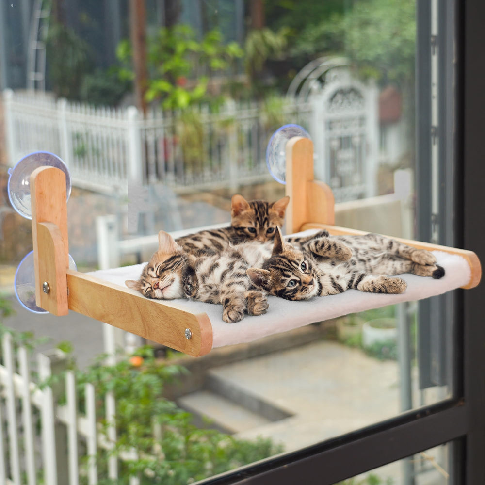 Aloxina cat window perch sturdy wooden frame for large cats.