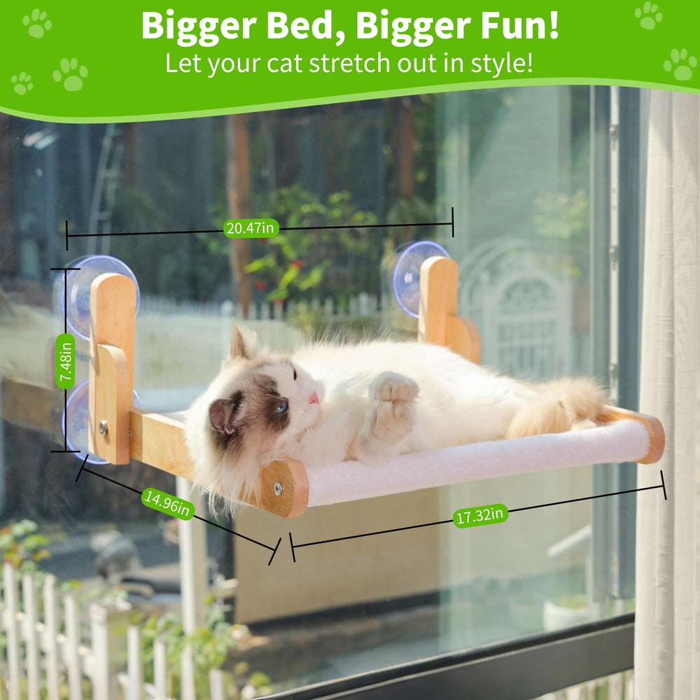 Aloxina cat window perch with suction cups securing frame.