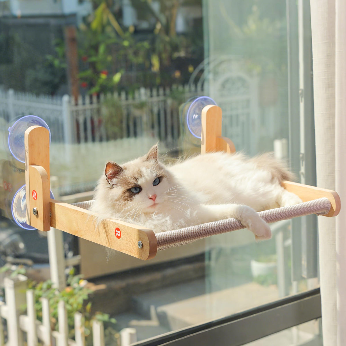 Aloxina cat window perch on wooden frame, ideal for sunbathing and birdwatching