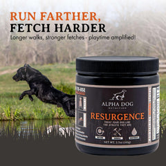Alpha Dog Nutrition hunter-friendly electrolytes designed for post-hunt recovery
