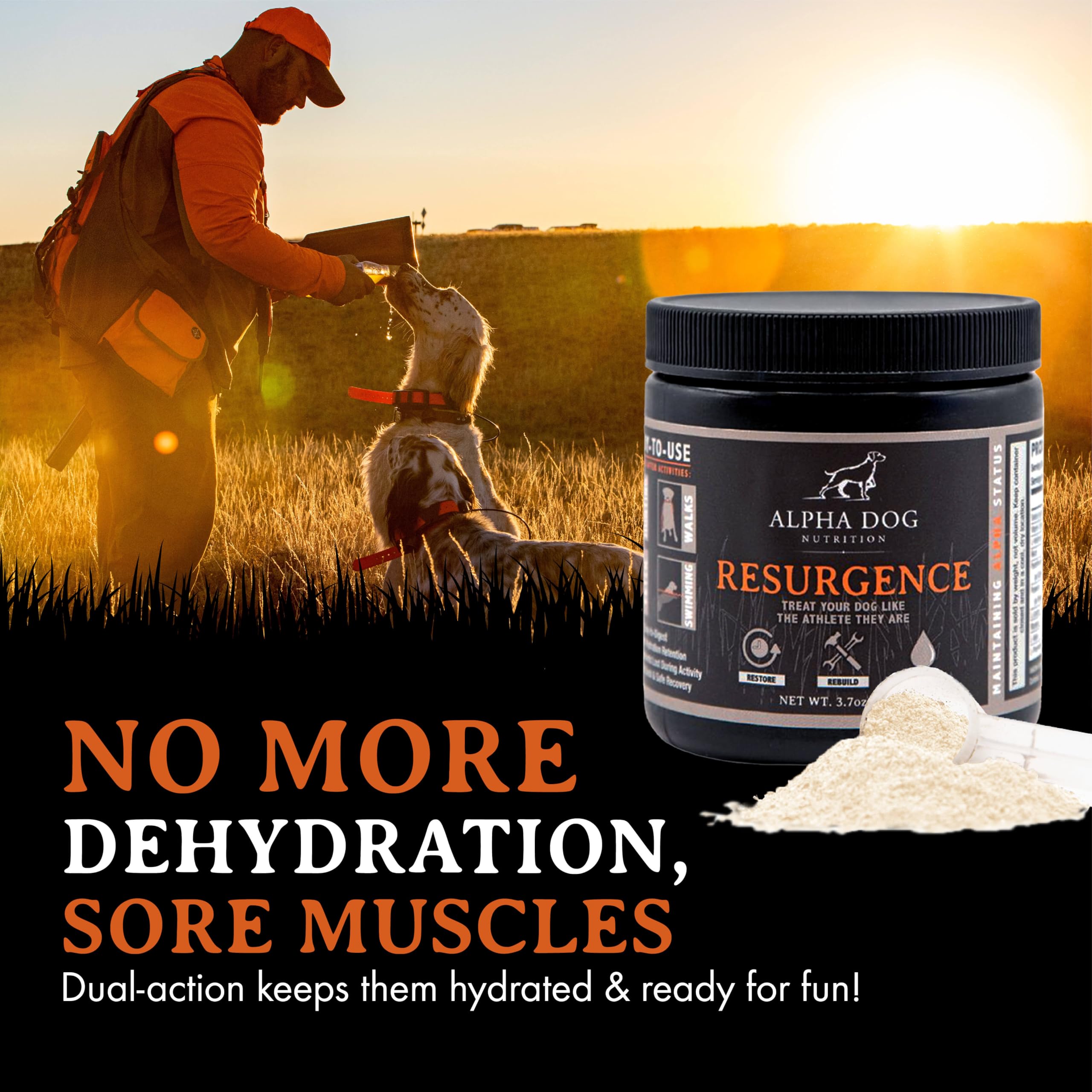 Alpha Dog Nutrition electrolytes in a resealable container for travel and training