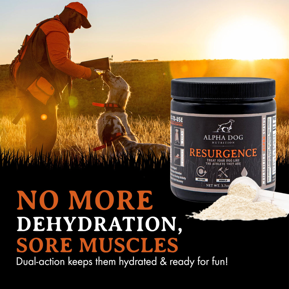 Alpha Dog Nutrition electrolytes in a resealable container for travel and training
