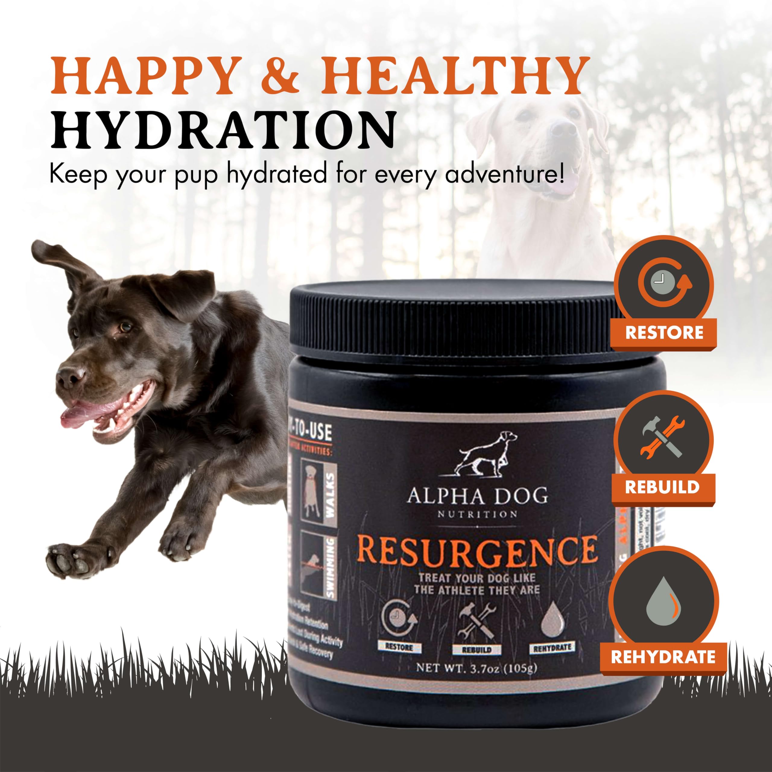 Alpha Dog Nutrition electrolytes dissolving in water to support active dogs' endurance