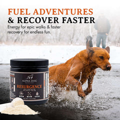 Alpha Dog Nutrition electrolytes sprinkled on food as a tasty hydration topper