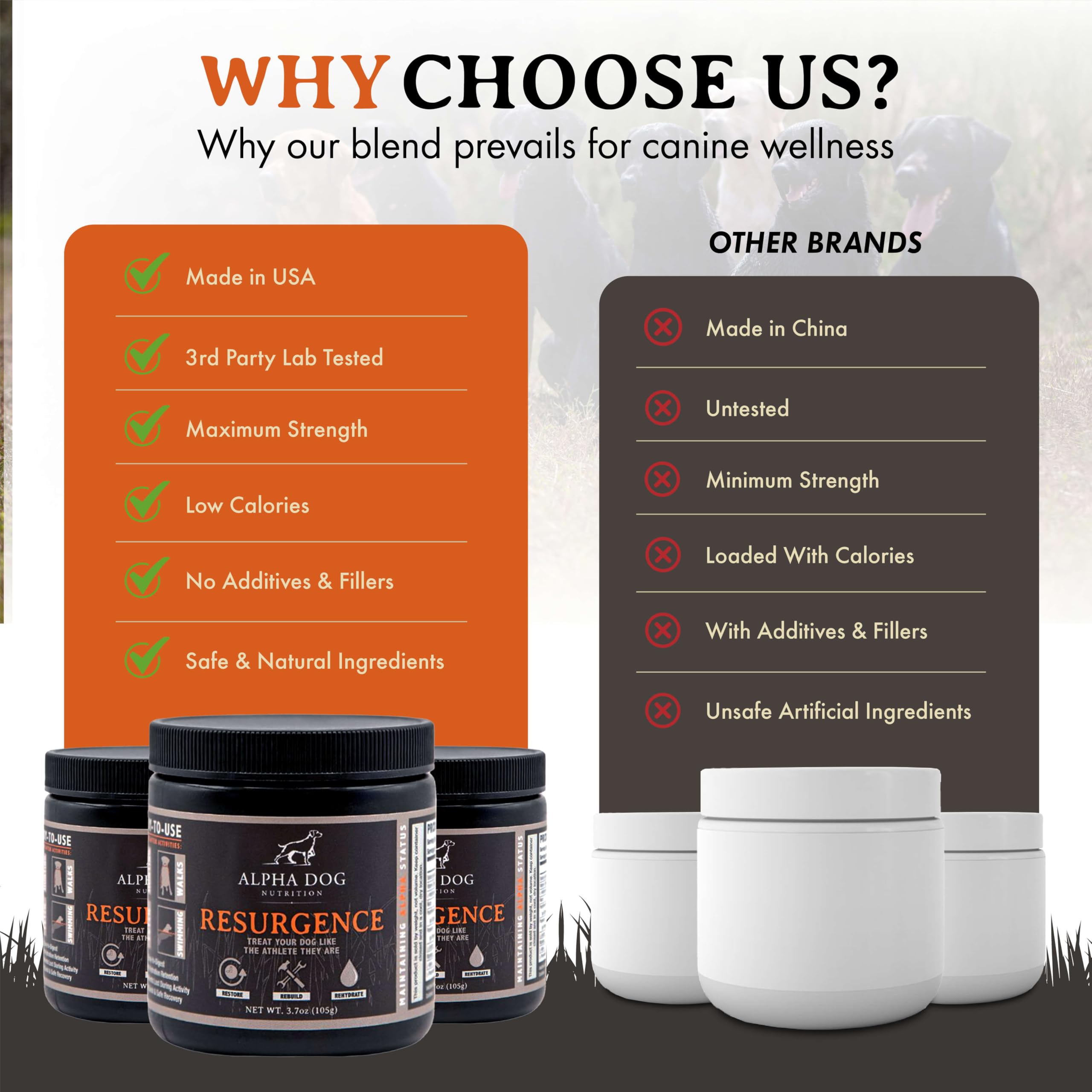 Alpha Dog Nutrition Wisconsin-made electrolytes with in-house quality control