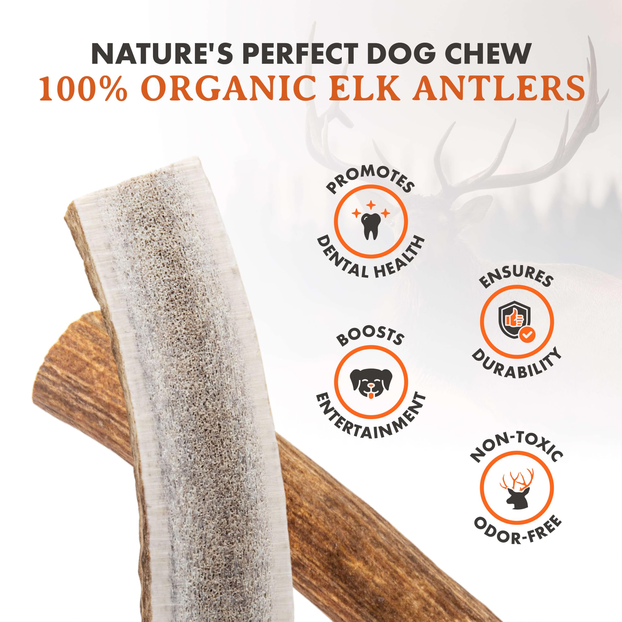 Alpha Dog Nutrition elk antler chews large split — close-up of the chew texture