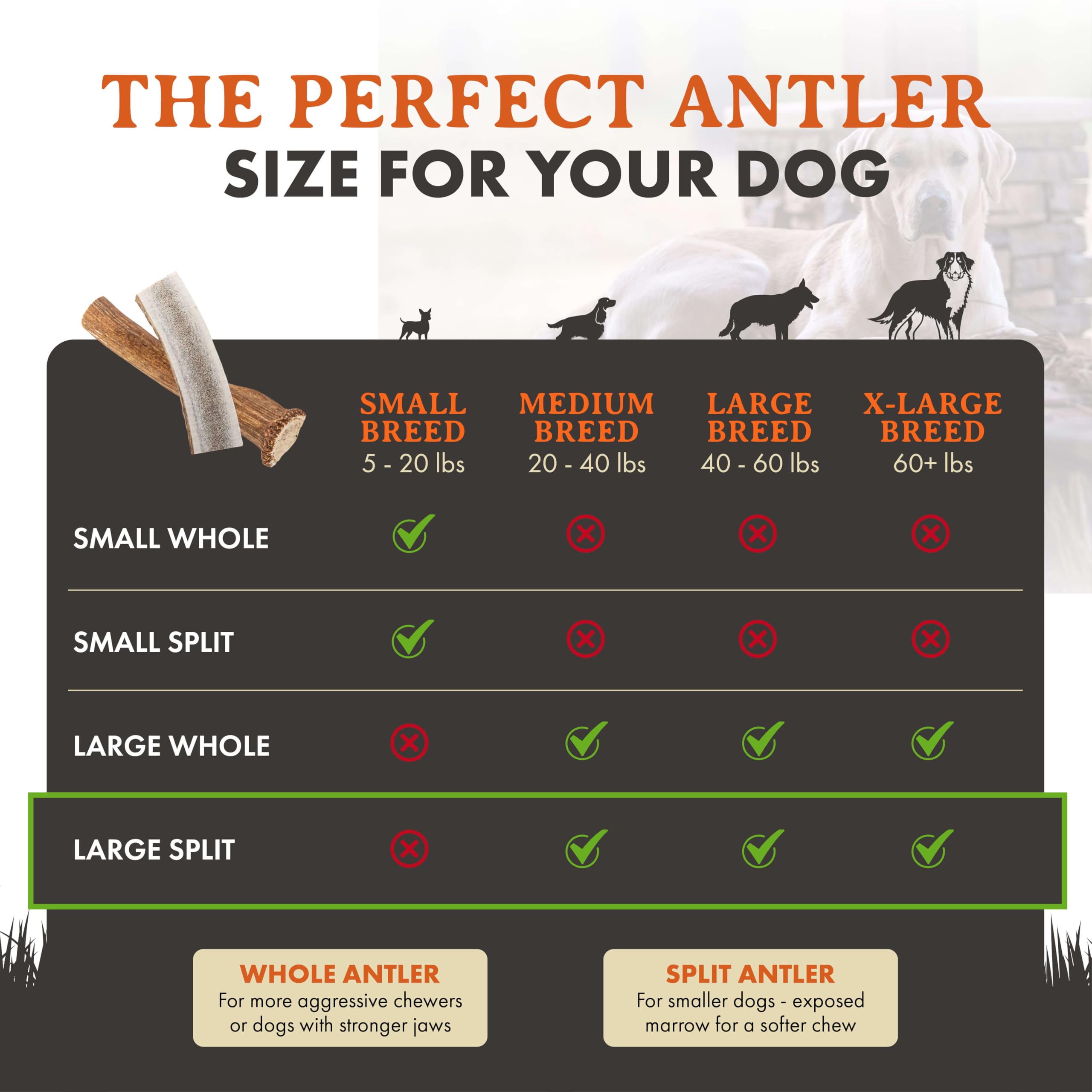 Alpha Dog Nutrition elk antler chews large split — ingredient and natural chew