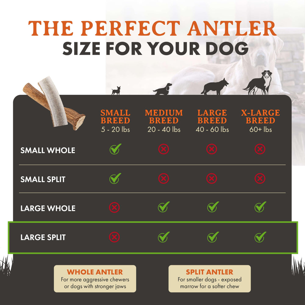 Alpha Dog Nutrition elk antler chews large split — ingredient and natural chew