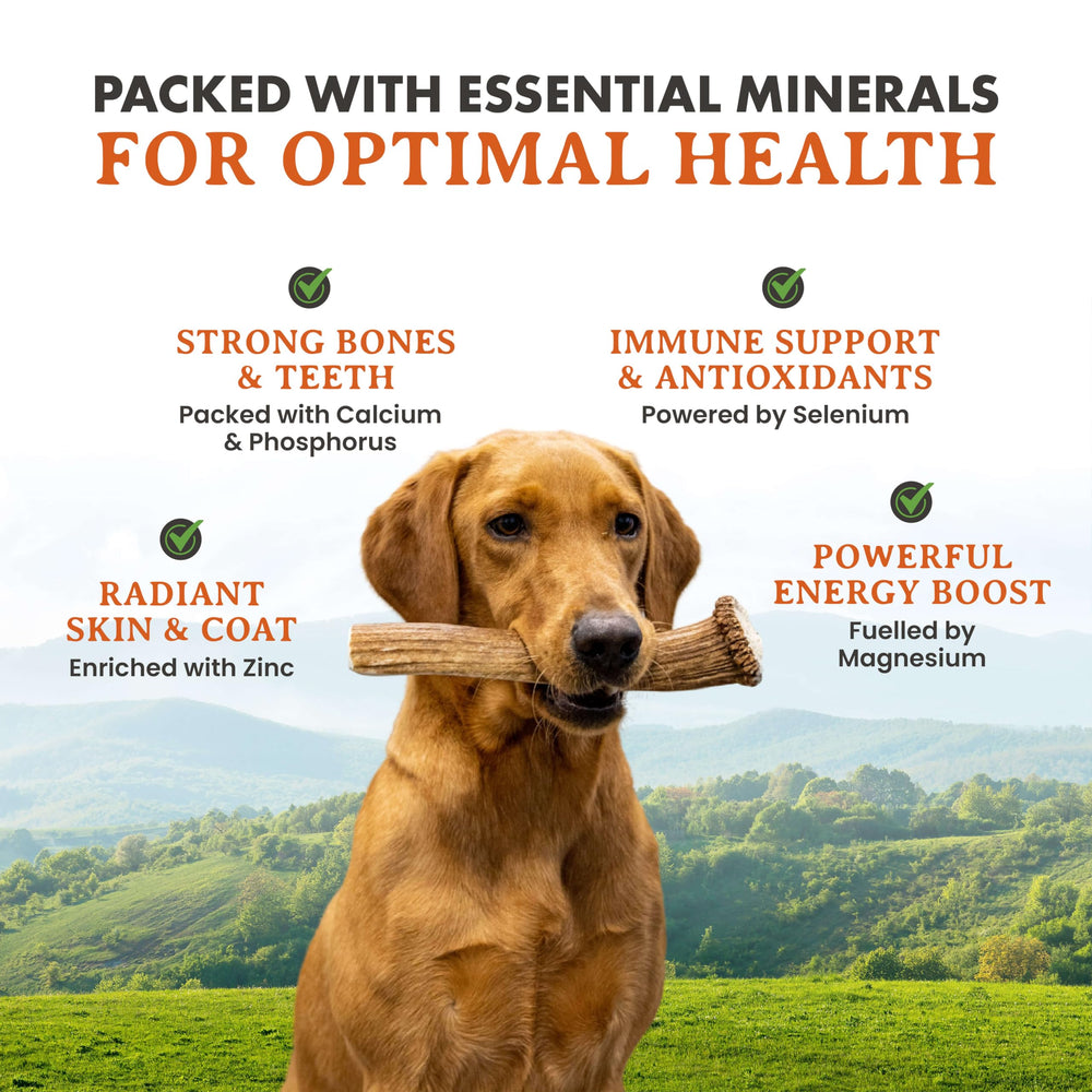 Alpha Dog Nutrition elk antler chews large split — packaging and USA-sourced claim