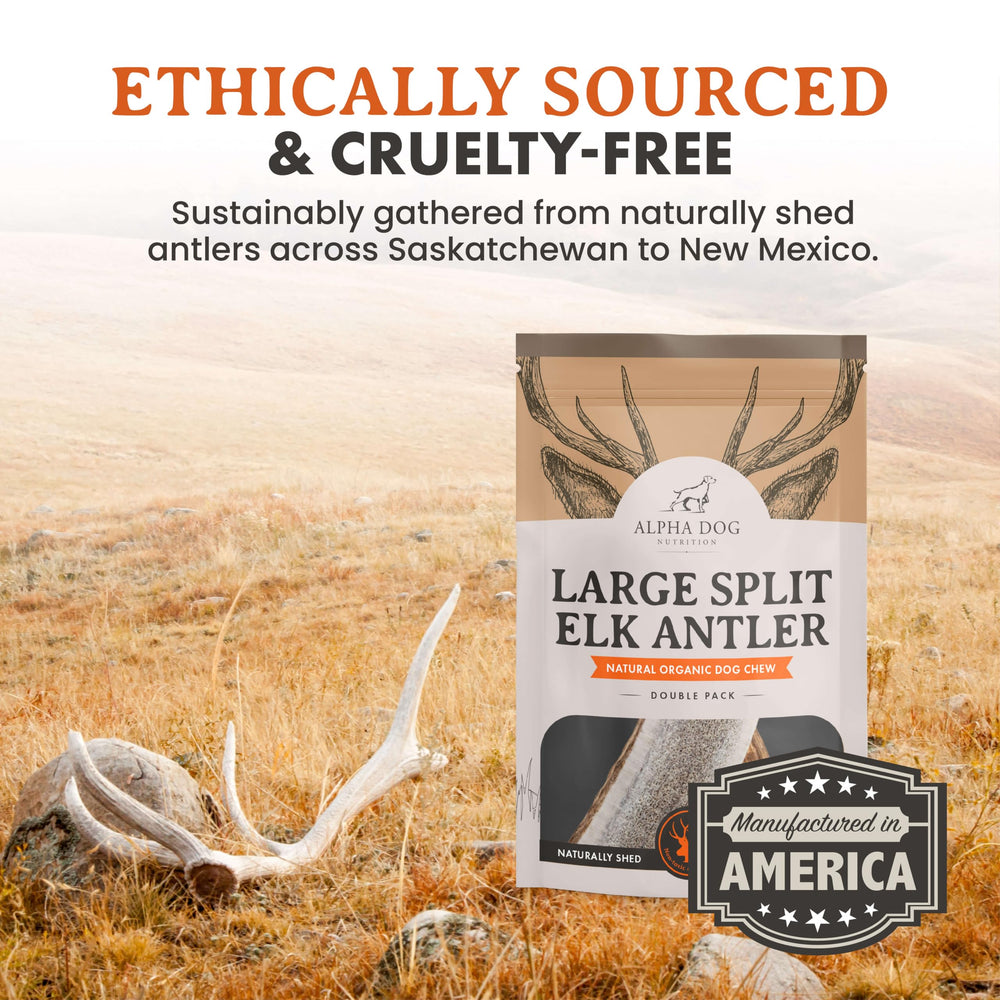 Alpha Dog Nutrition elk antler chews large split — suitable for teething puppies