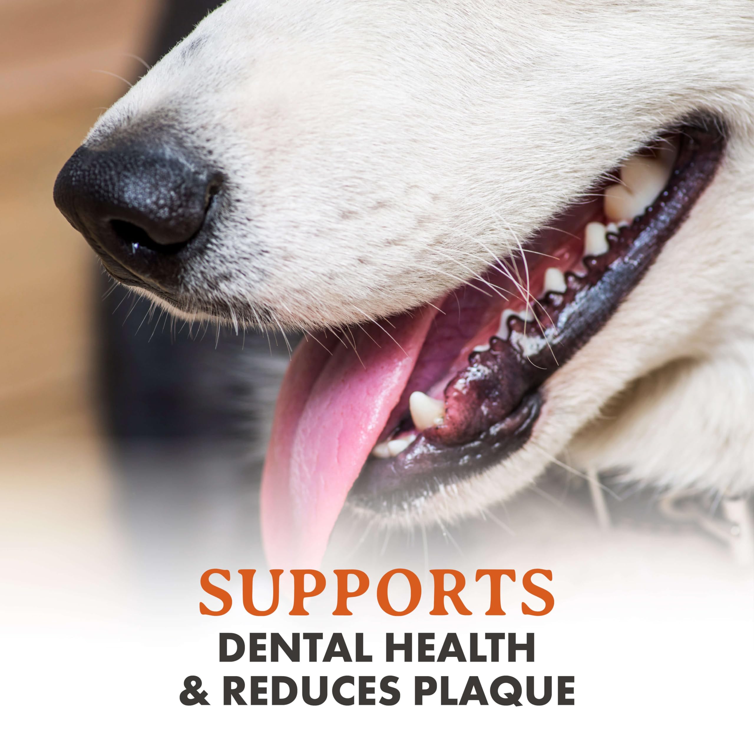 Alpha Dog Nutrition elk antler chews large split — USA-sourced and ethically collected