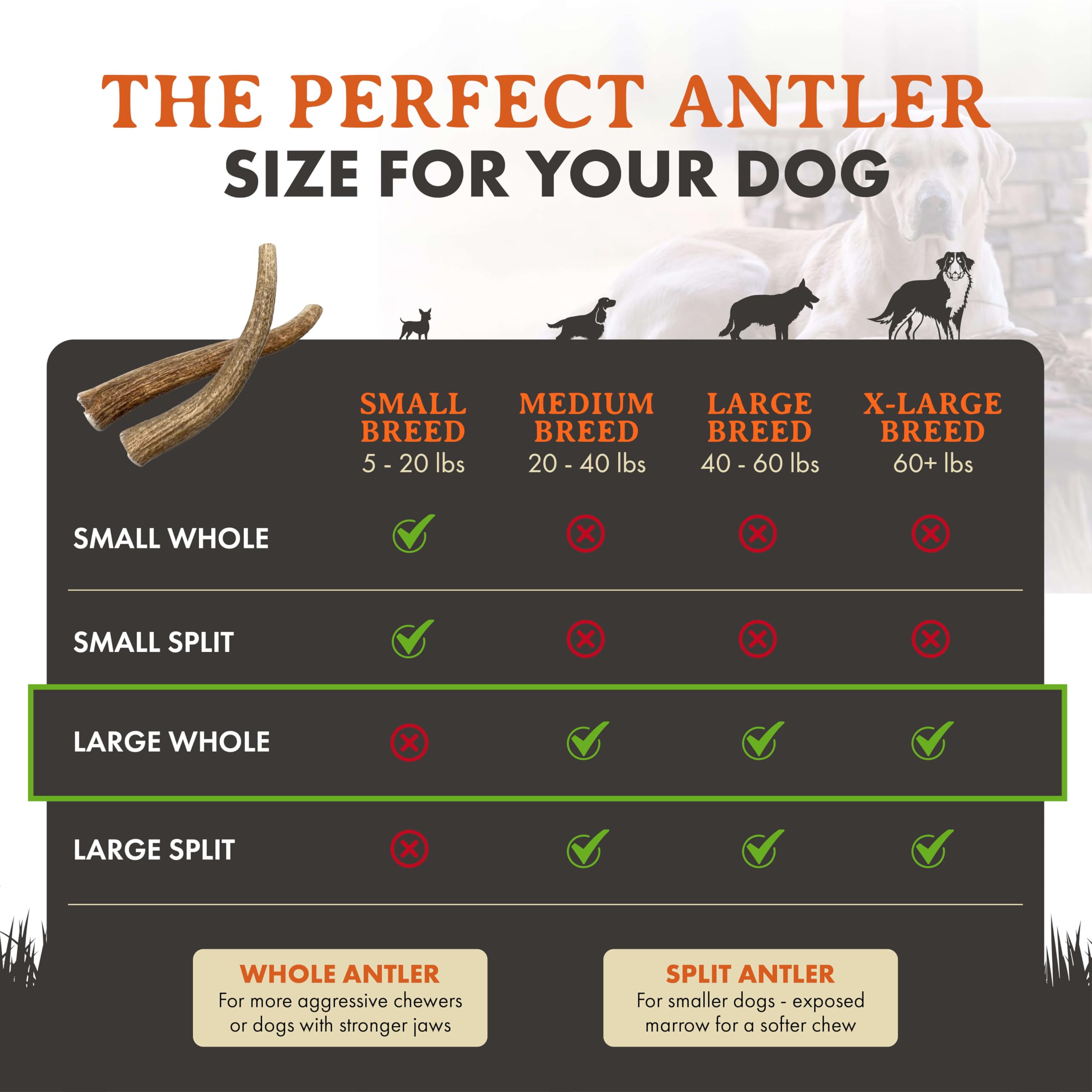 Alpha Dog Nutrition elk antler chews large whole natural mineral enriched chew for enrichment